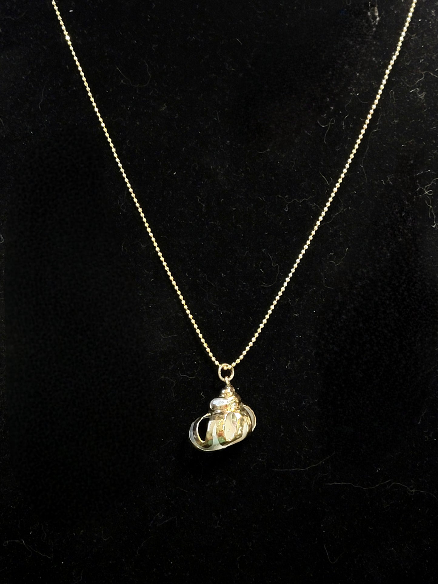 Gold Shell Pendant